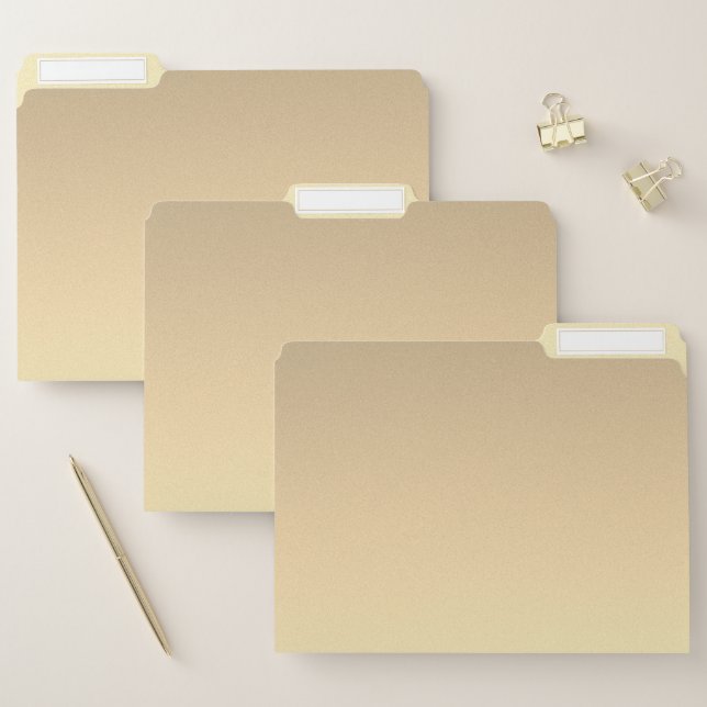 Gold Tone Minimalism File Folder (Set)
