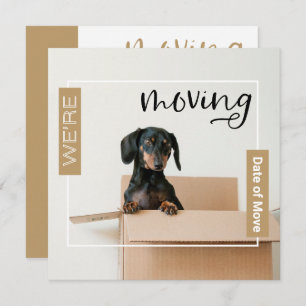 Gold We're Moving Dachshund Dog in Box Card