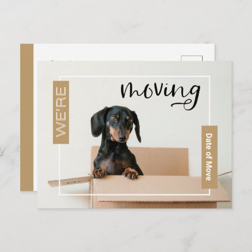 Gold Were Moving Dachshund Dog in Box Postcard