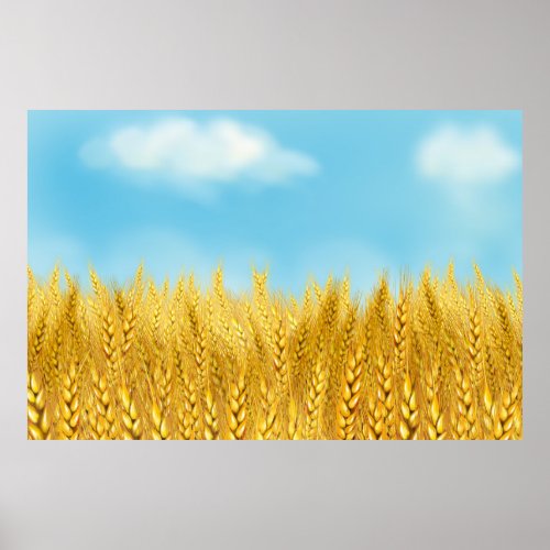 Gold Wheat Field Blue sky Oil Painting Summer Poster