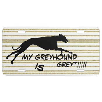 Gold & White Striped Greyhound License Plate by JLBIMAGES at Zazzle