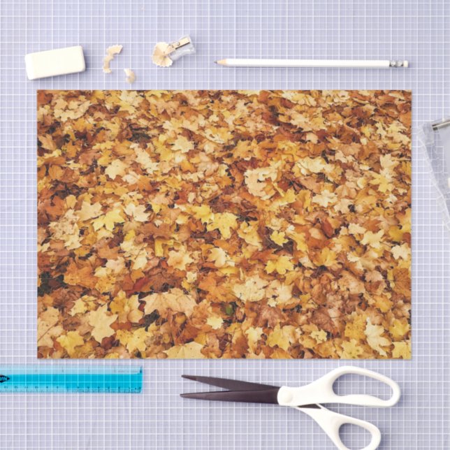 Gold yellow fall maple leaves tissue paper (Craft)