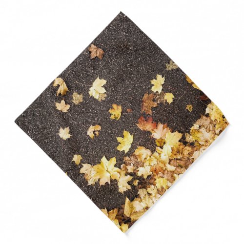 Gold yellow maple leaves autumn asphalt road bandana