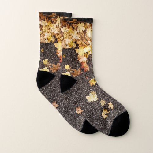 Gold yellow maple leaves autumn asphalt road socks