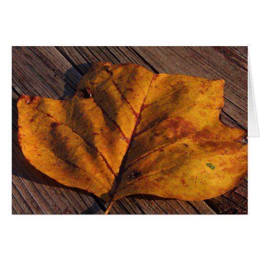 Golden (Front Horizontal)