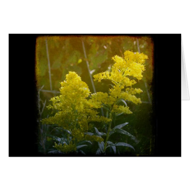 Golden 2 cards (Front Horizontal)