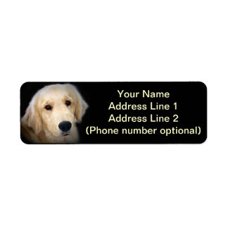 Golden Address Sticker
