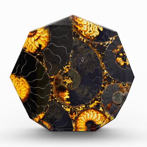 Golden Amber black Nautilus shell pattern fossil  Acrylic Award