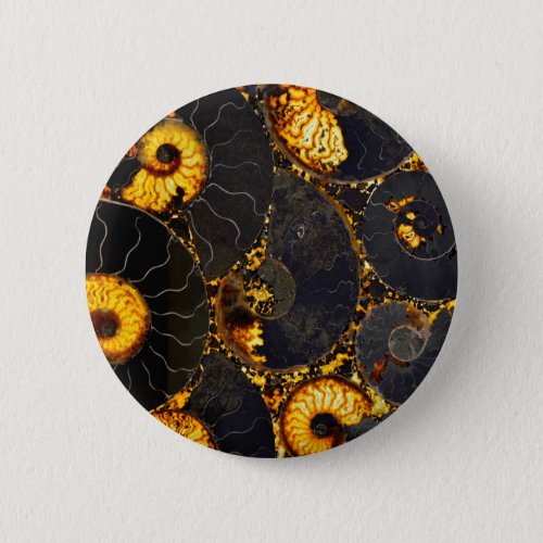 Golden Amber black Nautilus shell pattern fossil  Button