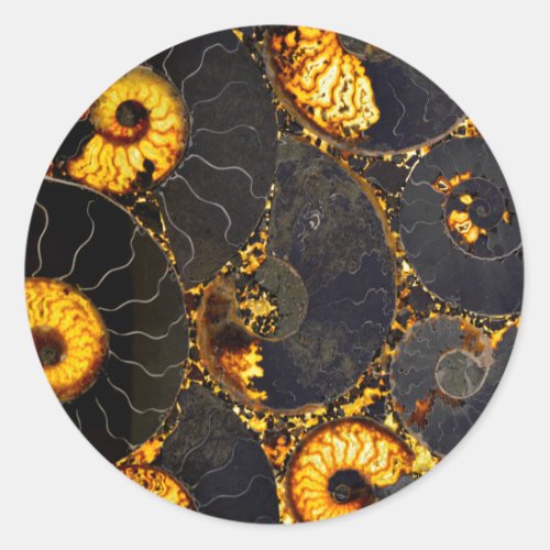 Golden Amber black Nautilus shell pattern fossil  Classic Round Sticker