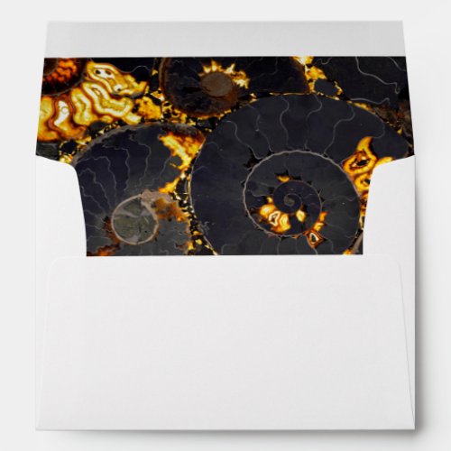 Golden Amber black Nautilus shell pattern fossil  Envelope