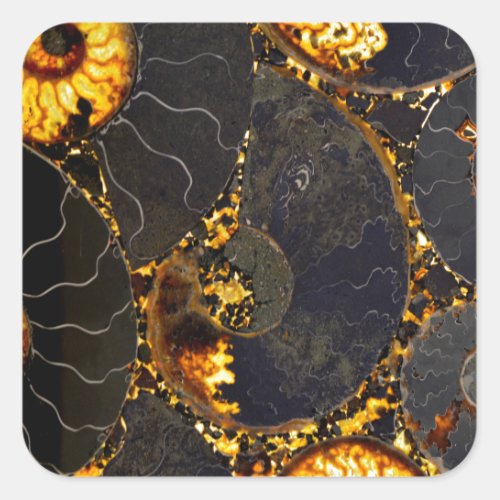 Golden Amber black Nautilus shell pattern fossil  Square Sticker