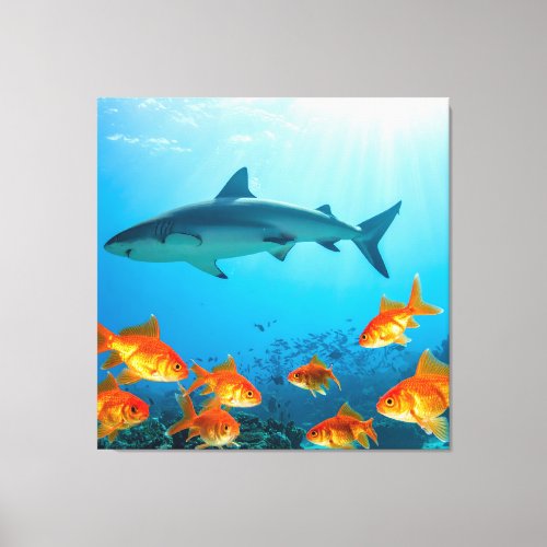 Golden Among Sharks Canvas Print