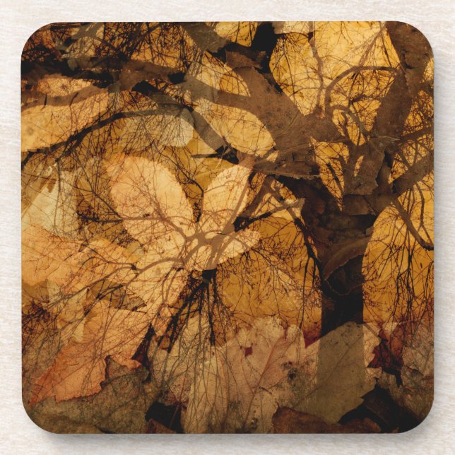 Golden and Brown Leaves | Merritt Island, FL Drink Coaster (Front)
