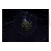 golden apple (Front Horizontal)