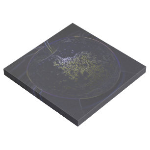 golden apple gallery wrap