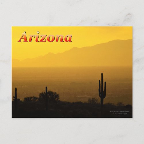 Golden Arizona Sunset With Saquaro Cactus Postcard