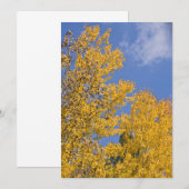 Golden Aspen in Autumn (Front/Back)