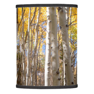 Golden Aspen Trees Lamp Shade