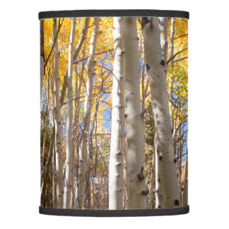 Golden Aspen Trees Lamp Shade