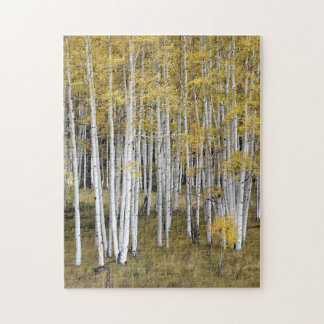 Golden Aspen Trees Puzzle