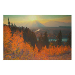 Golden Aspens Above Snake River At Sunset Wood Wall Decor