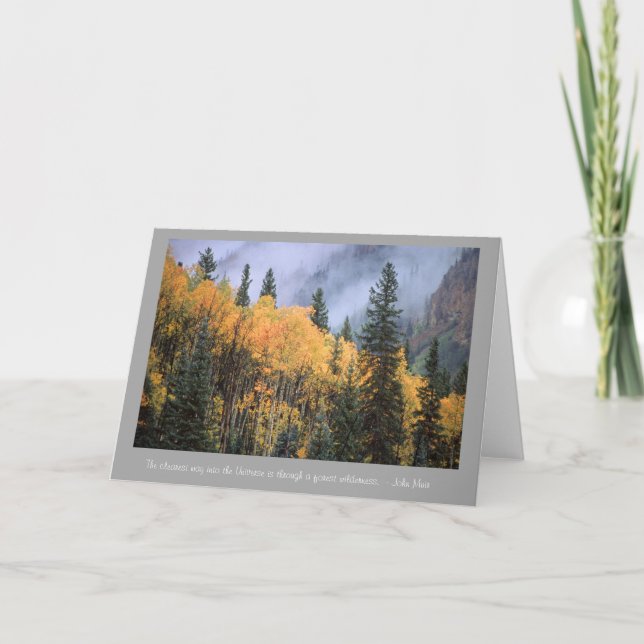 Golden Aspens with John Muir Quote Card (Front)