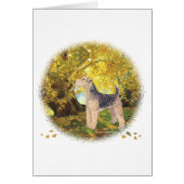 Golden Autumn (Front)