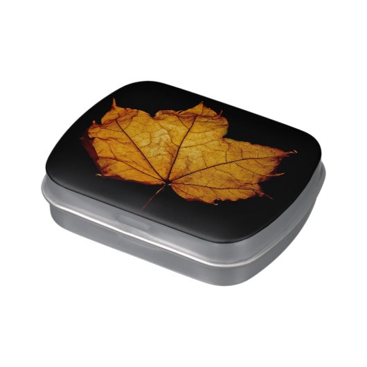Golden Autumn Leaf Jelly Belly Candy Tin (Side)