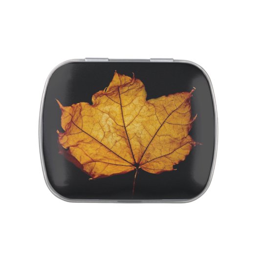 Golden Autumn Leaf Jelly Belly Candy Tin (Top)