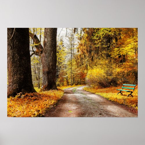 Golden Autumn Path In Forest Poster