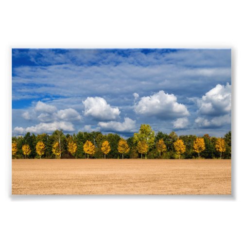 golden autumn photo print