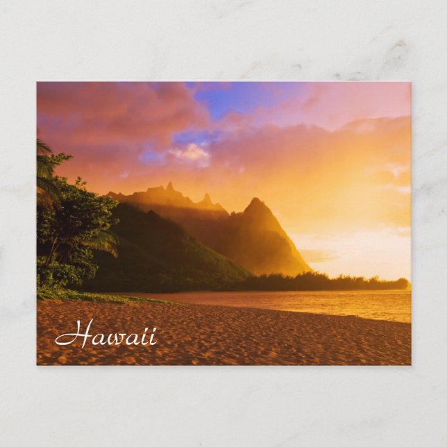 Golden beach sunset, Hawaii Postcard (Front)
