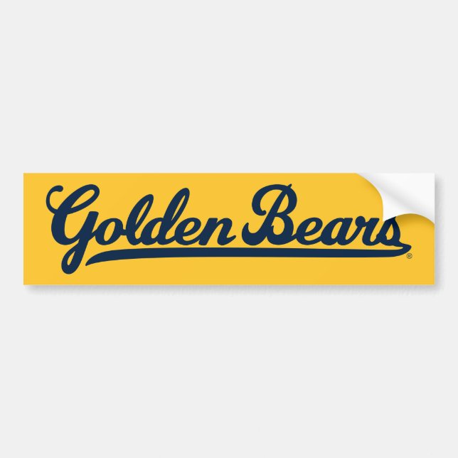 Golden Bears Blue Script Bumper Sticker (Front)