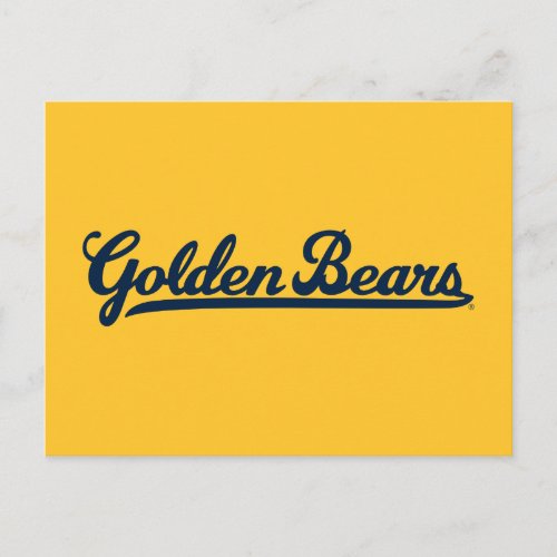 Golden Bears Blue Script Postcard