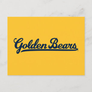 Golden Bears Blue Script Postcard