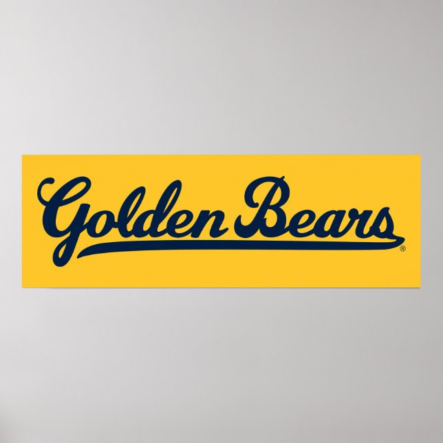 Golden Bears Blue Script Poster (Front)