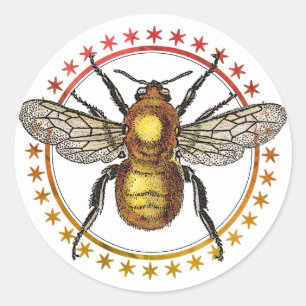 Golden Bee And Stars Classic Round Sticker