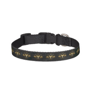 Golden Bird Skull on Black background Pet Collar