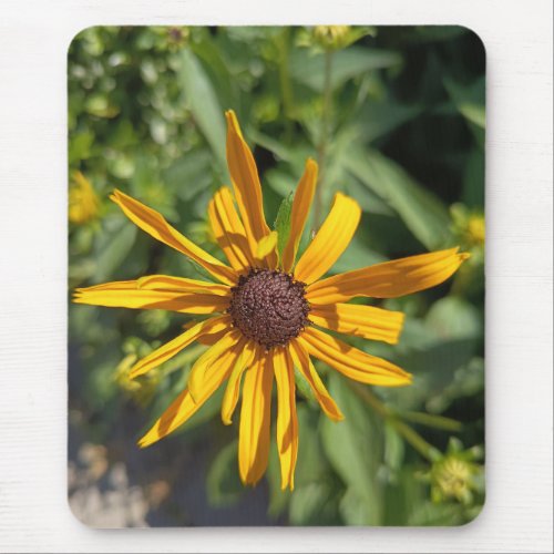 Golden Black-Eyed Susan Floral Mouse Pad | Botanic