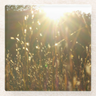 "Golden Blades of Sunlight" Original Art by KAS Glass Coaster