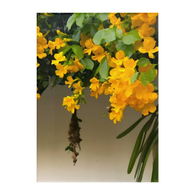 Golden Blossom Beauty Acrylic Print (Front)