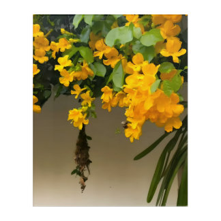 Golden Blossom Beauty Acrylic Print