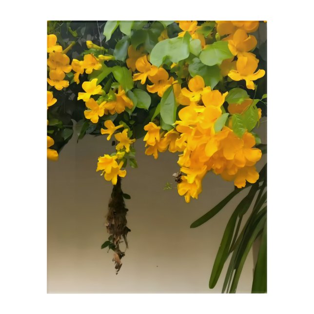 Golden Blossom Beauty Acrylic Print (Front)