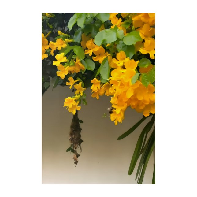 Golden Blossom Beauty Acrylic Print (Front)