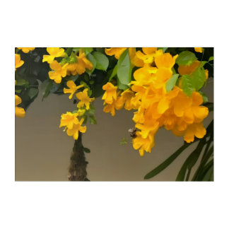 Golden Blossom Beauty Acrylic Print