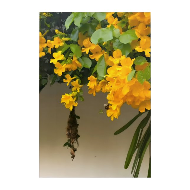 Golden Blossom Beauty Acrylic Print (Front)