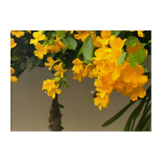 Golden Blossom Beauty Acrylic Print