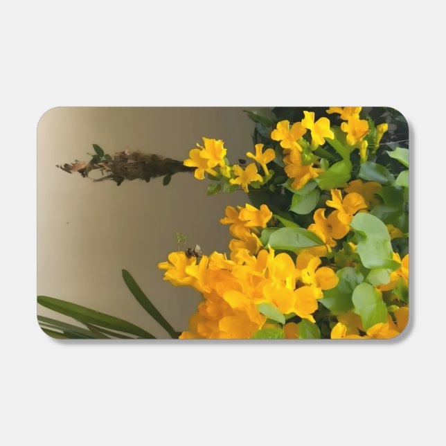 Golden Blossom Beauty Matchboxes (Front)