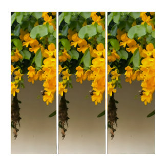 Golden Blossom Beauty Triptych